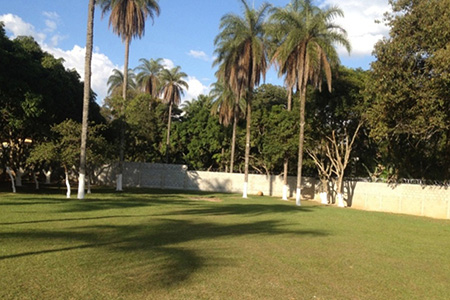 Instituto Mãos Q Salvam